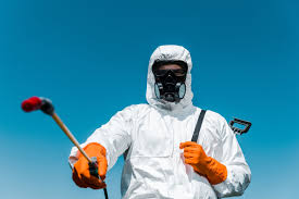 Real Estate Pest Inspections in Chico, TX